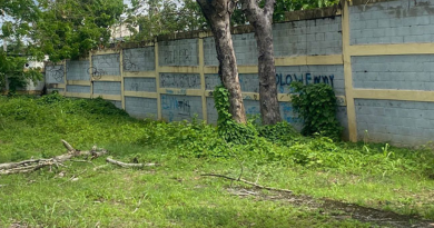 Denuncian peligro de muerte por colapso inminente de pared en el Liceo Ercilia Pepín Denuncian peligro de muerte por colapso inminente de pared en el Liceo Ercilia Pepín