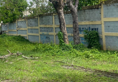 Denuncian peligro de muerte por colapso inminente de pared en el Liceo Ercilia Pepín Denuncian peligro de muerte por colapso inminente de pared en el Liceo Ercilia Pepín