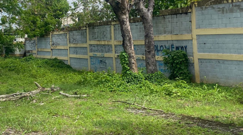 Denuncian peligro de muerte por colapso inminente de pared en el Liceo Ercilia Pepín Denuncian peligro de muerte por colapso inminente de pared en el Liceo Ercilia Pepín