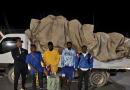 Ejército intercepta cuatro haitianos indocumentados ocultos entre vegetales en Constanza Ejército intercepta cuatro haitianos indocumentados ocultos entre vegetales en Constanza