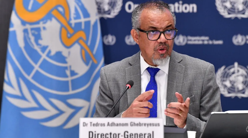 OMS reporta 11 casos positivos por hantavirus vinculados a brote en crucero MV Hondius