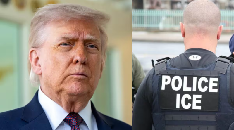 Trump propone multas de hasta US$18 mil para inmigrantes con orden de deportación Trump propone multas de hasta US$18 mil para inmigrantes con orden de deportación