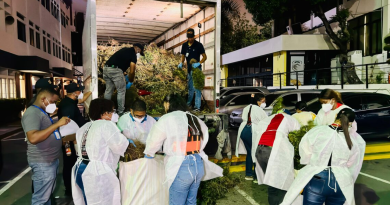 Siembra de marihuana desmantelada en Ocoa tuvo peso superior a las 13,000 libras, confirma la DNCD