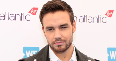 Hijo de Liam Payne heredará toda la fortuna del cantante, según documentos judiciales