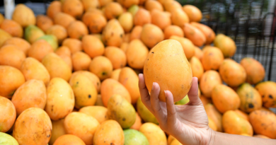 ¿Comer mango de noche sube la glucosa?
