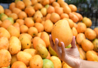 ¿Comer mango de noche sube la glucosa?