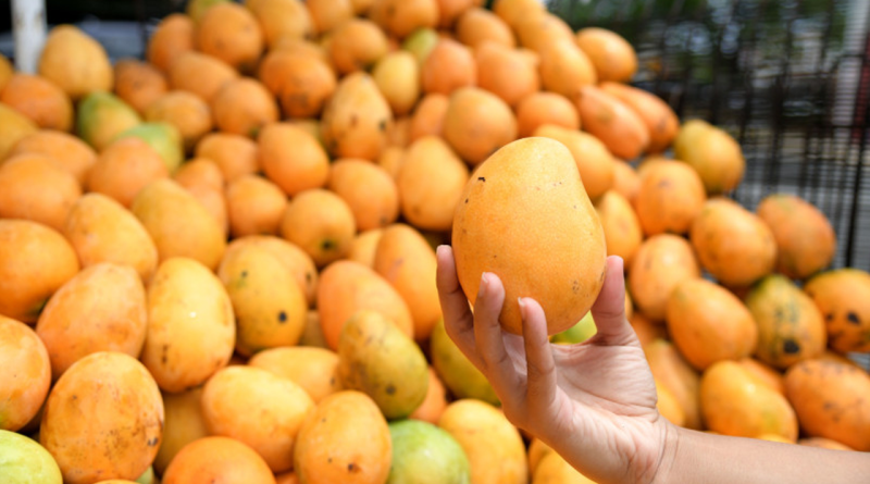 ¿Comer mango de noche sube la glucosa?