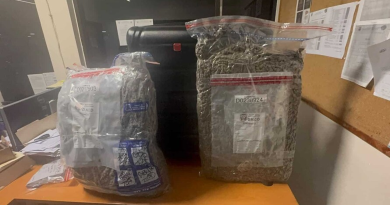 Dejan abandonada en el AILA una maleta cargada con casi 29 libras de marihuana