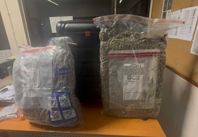 Dejan abandonada en el AILA una maleta cargada con casi 29 libras de marihuana