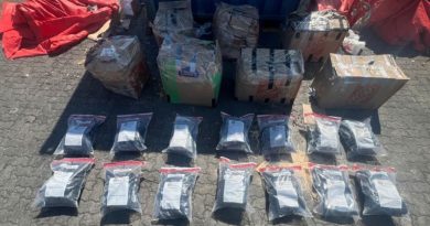 DNCD incauta 41 paquetes de marihuana en el Puerto de Haina Oriental DNCD incauta 41 paquetes de marihuana en el Puerto de Haina Oriental