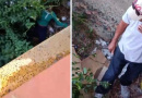 Joven vuelve a lanzarse al río Yaque del Norte en Montecristi Joven vuelve a lanzarse al río Yaque del Norte en Montecristi