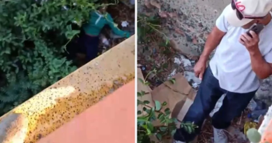 Joven vuelve a lanzarse al río Yaque del Norte en Montecristi Joven vuelve a lanzarse al río Yaque del Norte en Montecristi
