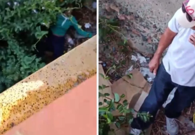 Joven vuelve a lanzarse al río Yaque del Norte en Montecristi Joven vuelve a lanzarse al río Yaque del Norte en Montecristi