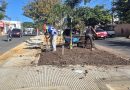 Avanzan a ritmo acelerado trabajos de remozamiento de la avenida Libertad en SFM Avanzan a ritmo acelerado trabajos de remozamiento de la avenida Libertad en SFM