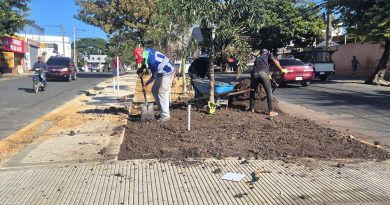 Avanzan a ritmo acelerado trabajos de remozamiento de la avenida Libertad en SFM Avanzan a ritmo acelerado trabajos de remozamiento de la avenida Libertad en SFM
