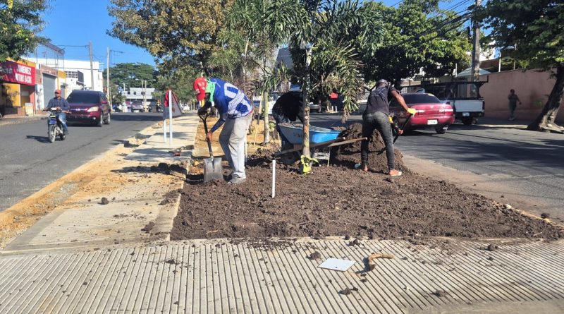 Avanzan a ritmo acelerado trabajos de remozamiento de la avenida Libertad en SFM Avanzan a ritmo acelerado trabajos de remozamiento de la avenida Libertad en SFM